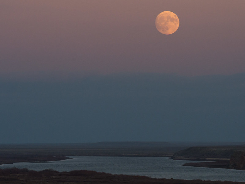 At twilight, a full moon rises over a broad river with vegetated banks. The Moon appears peach-colored in a dim pink-and-blue sky.