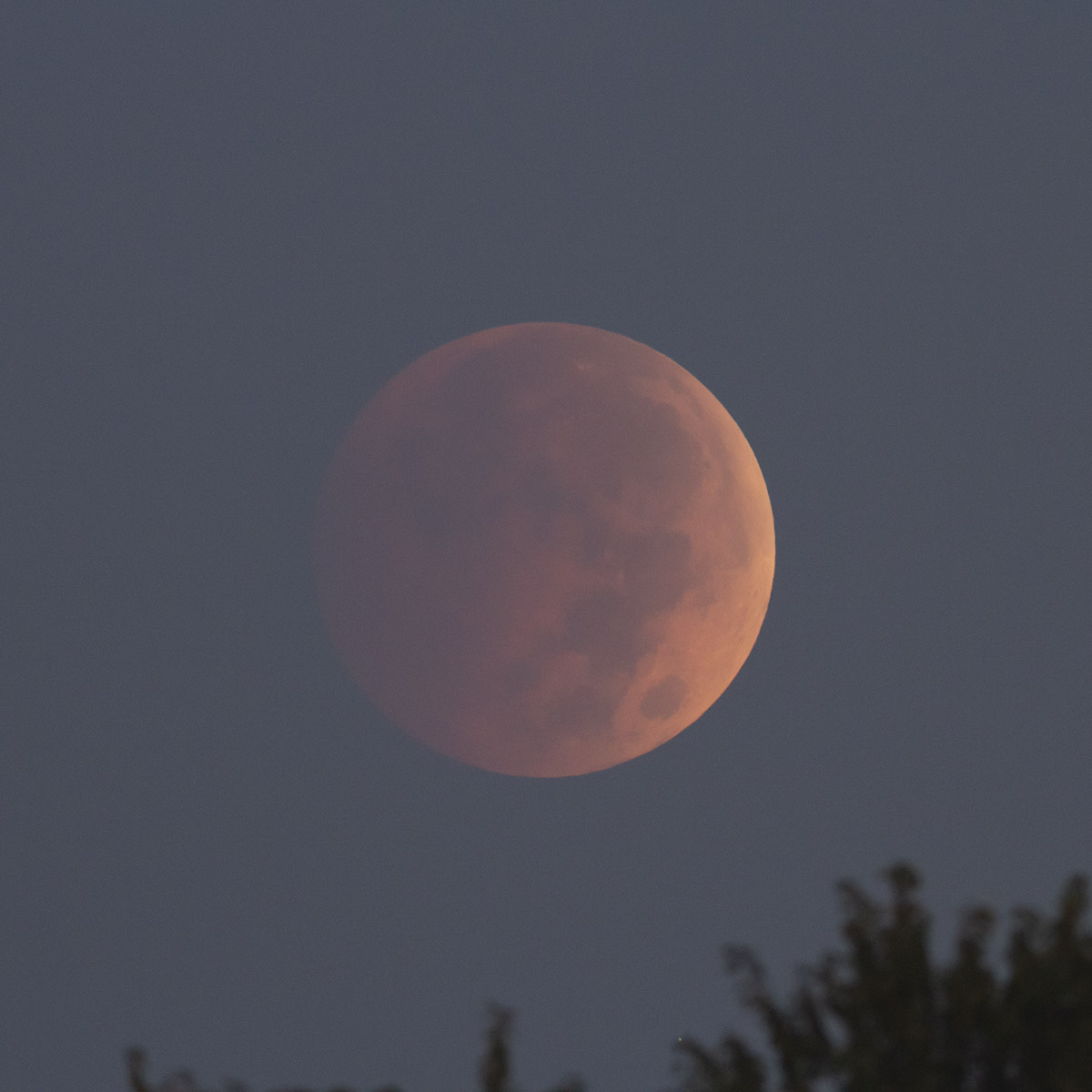 foto del eclipse lunar