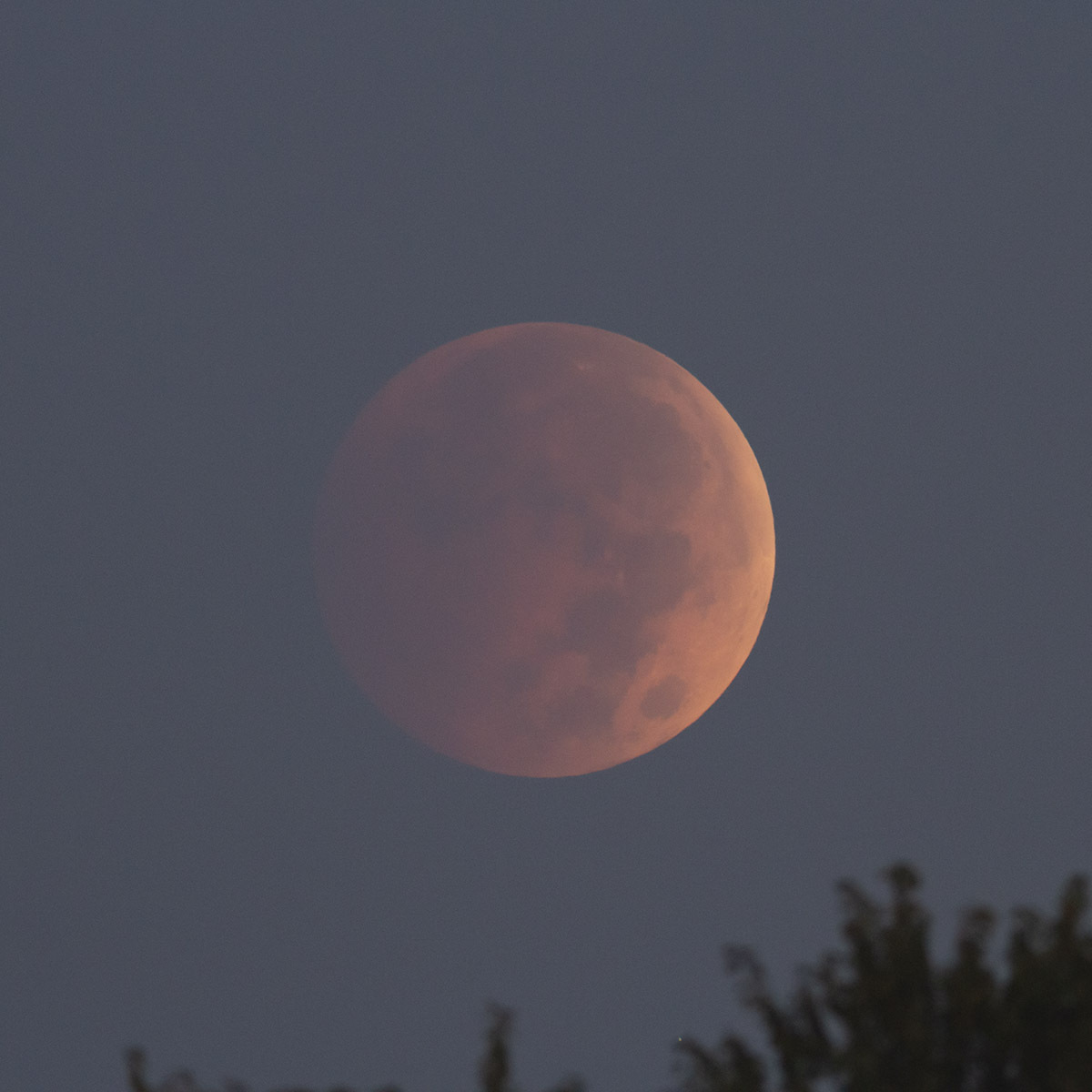 moon observation nasa