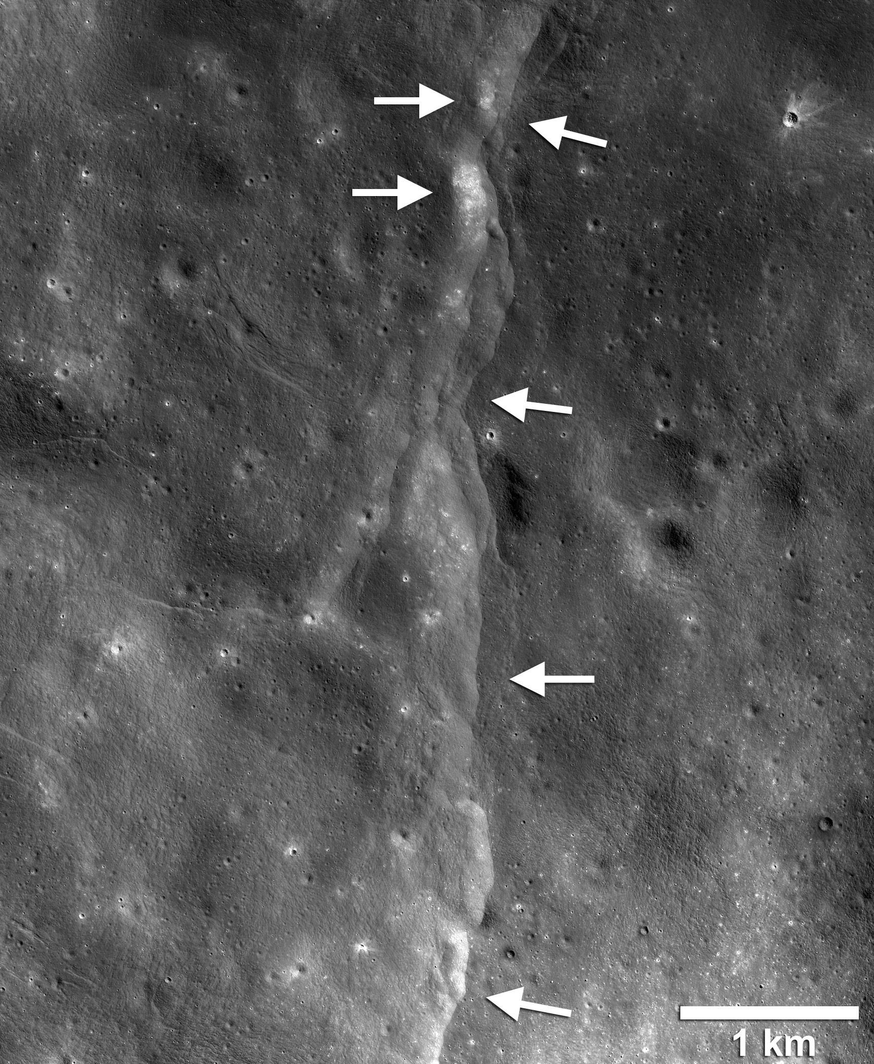 Lobate Thrust Fault Scarps