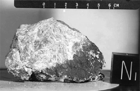 Black and white image of small rock.