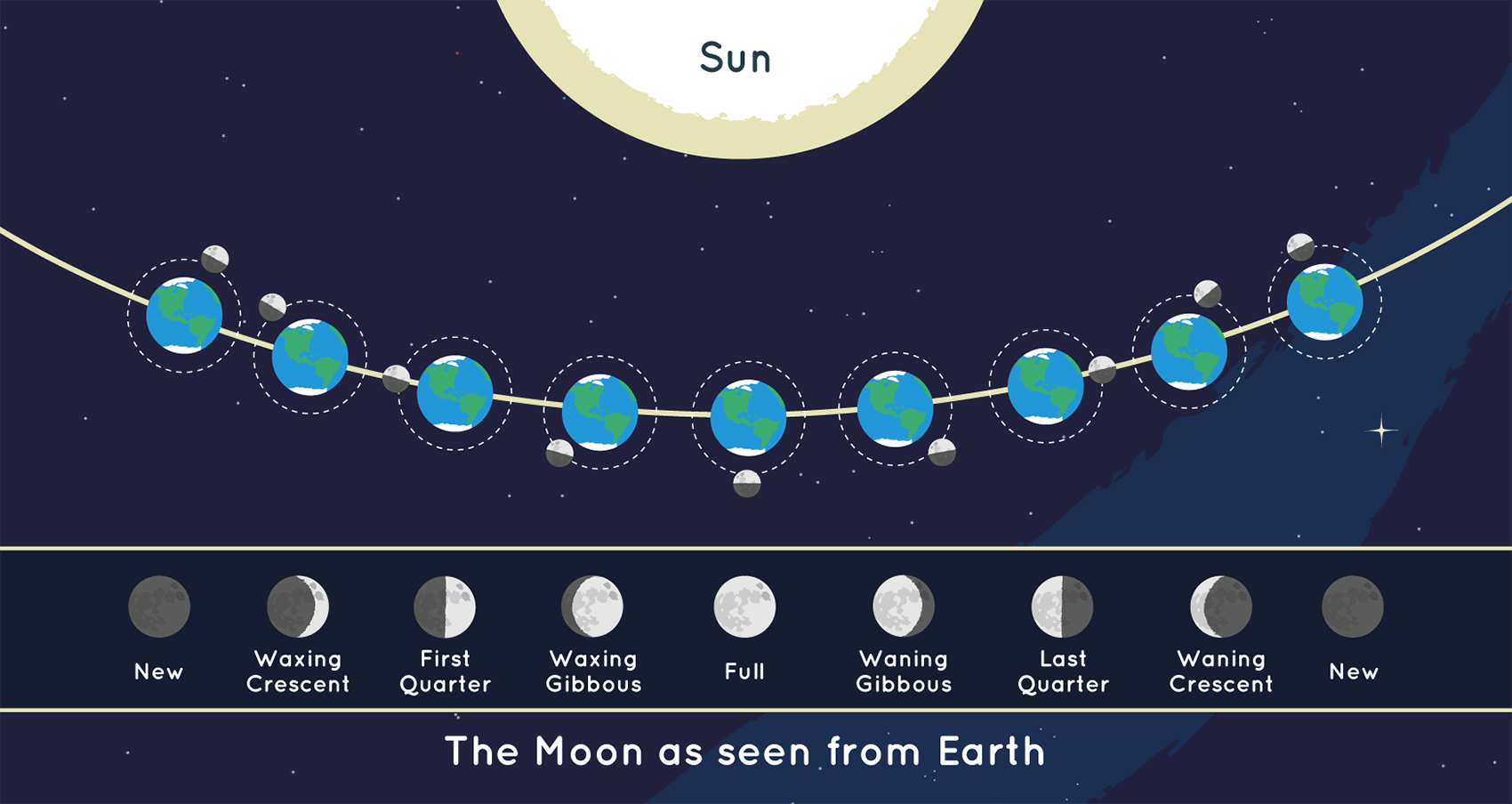 Position of Moon and Sun, matched with depictions of the Moon’s phases as seen from Earth’s viewpoint.