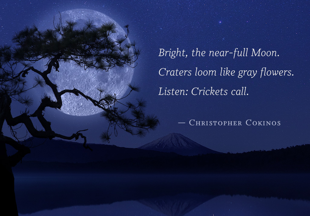 Haiku poem over a night sky with full Moon behind pine tree silhouette.