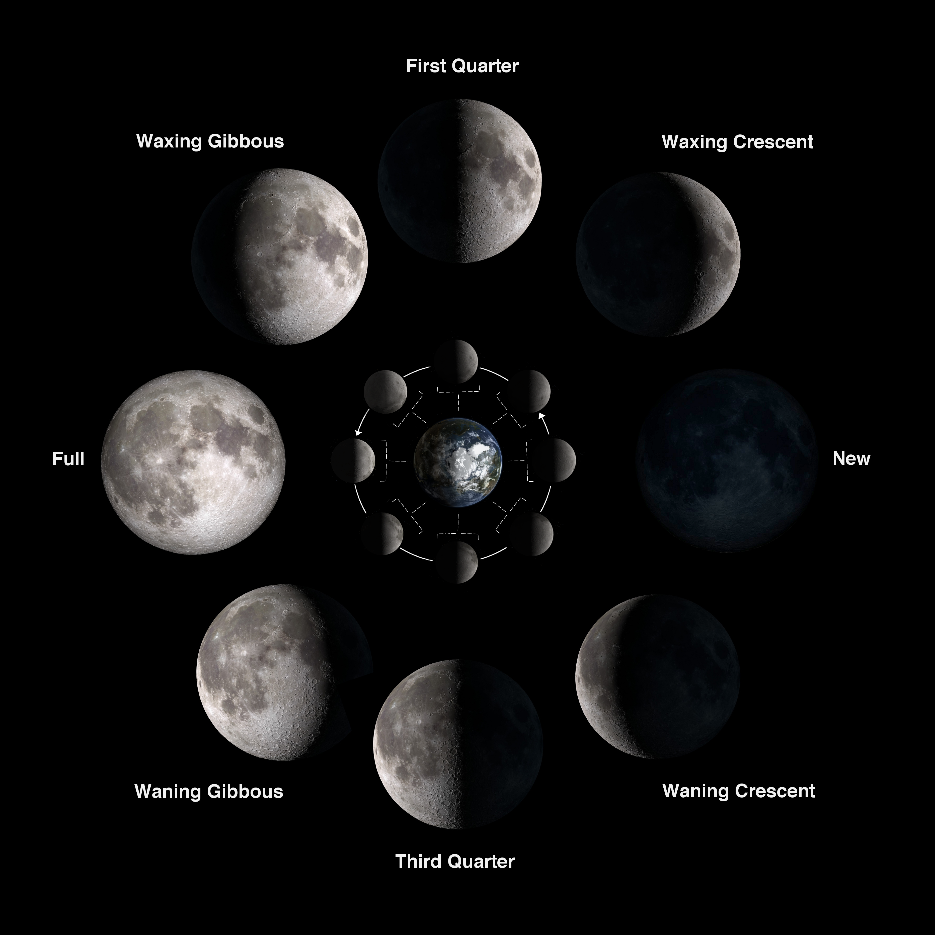Chart showing the different phases of the Moon