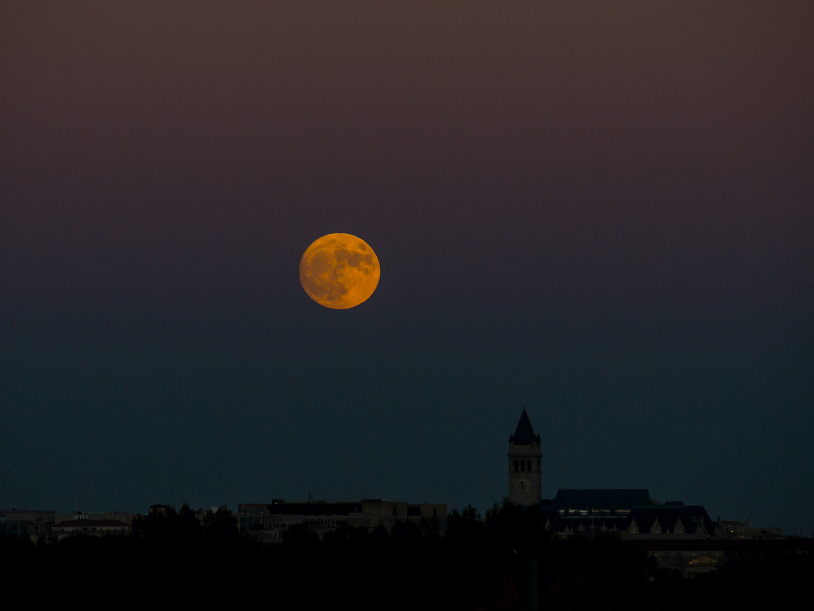 Homing moon. Оранжевая Луна. Оранжевая Луна фото. Апельсиновая Луна. Луна Кам.